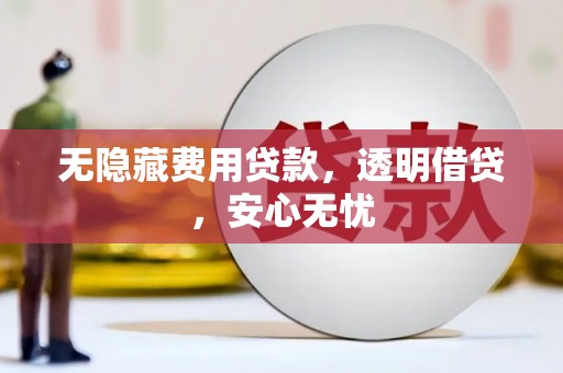 成安无隐藏费用贷款，透明借贷，安心无忧