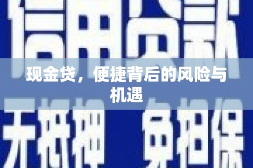 成安现金贷，便捷背后的风险与机遇