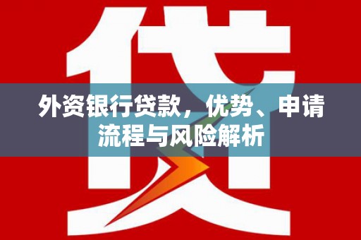 成安外资银行贷款，优势、申请流程与风险解析