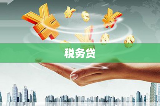 成安税务贷