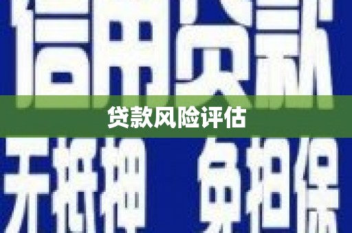 成安贷款风险评估