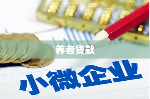 成安养老贷款