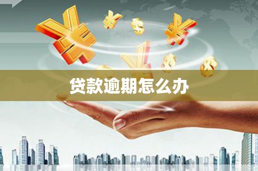 成安贷款逾期怎么办