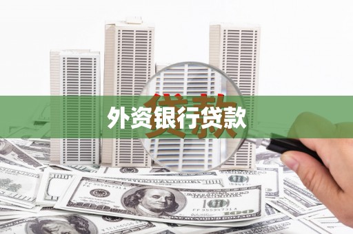 成安外资银行贷款
