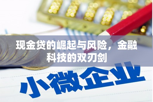 成安现金贷的崛起与风险，金融科技的双刃剑