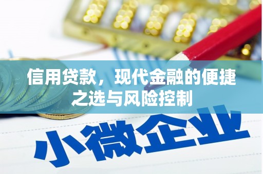 成安信用贷款，现代金融的便捷之选与风险控制