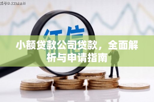 成安小额贷款公司贷款，全面解析与申请指南