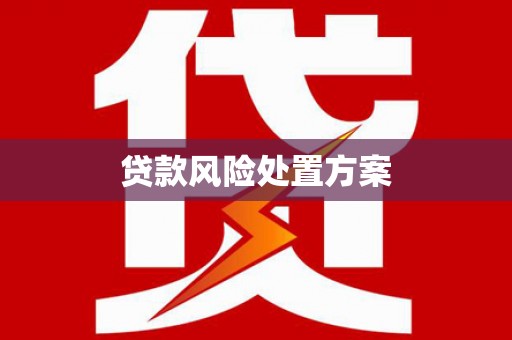 成安贷款风险处置方案