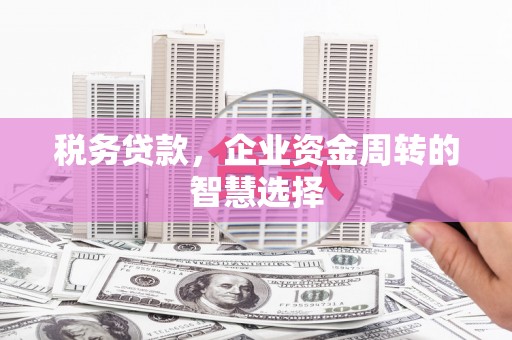 成安税务贷款，企业资金周转的智慧选择