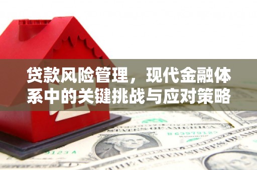 成安贷款风险管理，现代金融体系中的关键挑战与应对策略