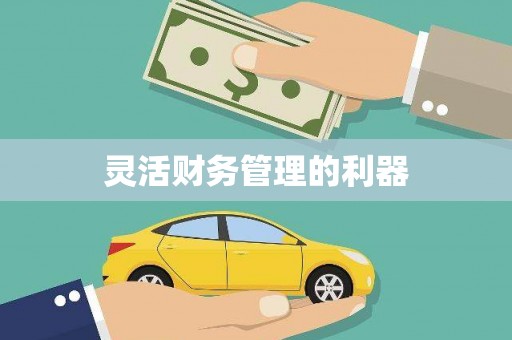 成安灵活财务管理的利器