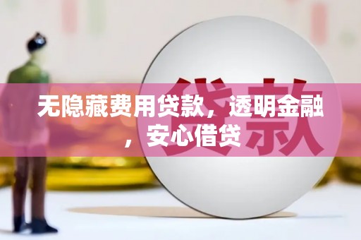 成安无隐藏费用贷款，透明金融，安心借贷