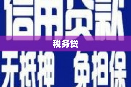 成安税务贷