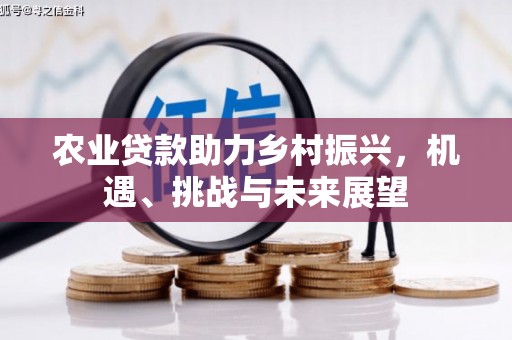 成安农业贷款助力乡村振兴，机遇、挑战与未来展望