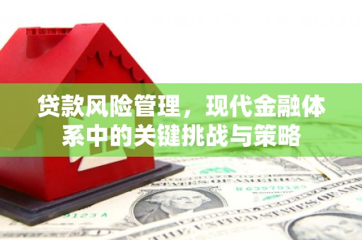 成安贷款风险管理，现代金融体系中的关键挑战与策略
