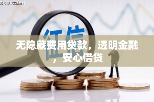成安无隐藏费用贷款，透明金融，安心借贷