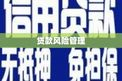 成安贷款风险管理