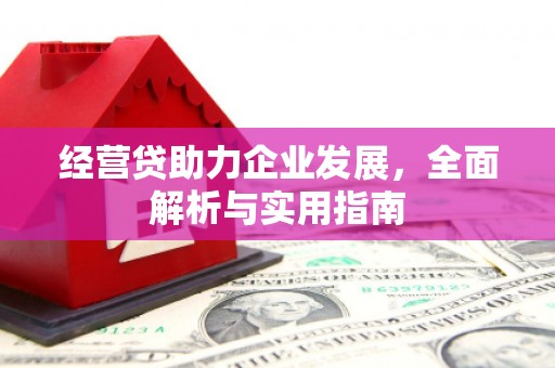 成安经营贷助力企业发展，全面解析与实用指南