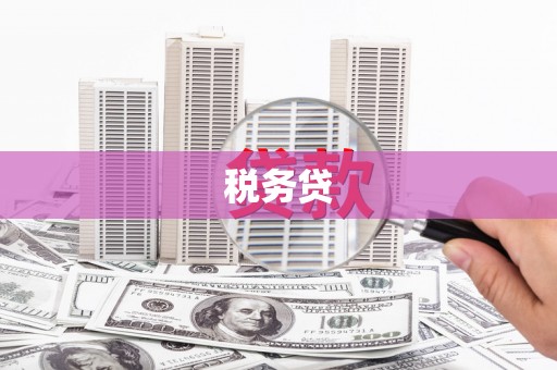 成安税务贷