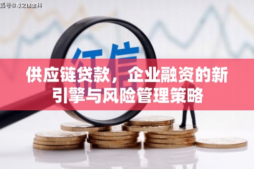 成安供应链贷款，企业融资的新引擎与风险管理策略