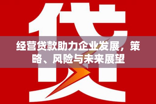 成安经营贷款助力企业发展，策略、风险与未来展望