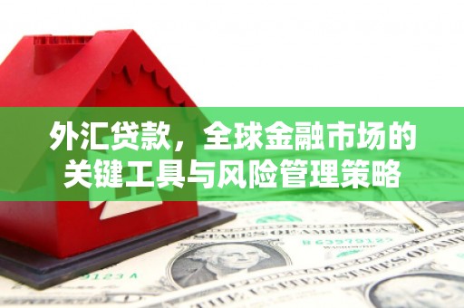 成安外汇贷款，全球金融市场的关键工具与风险管理策略