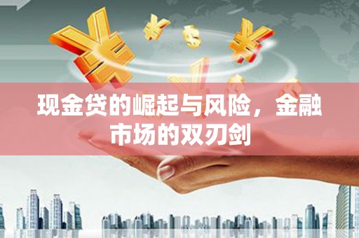 成安现金贷的崛起与风险，金融市场的双刃剑