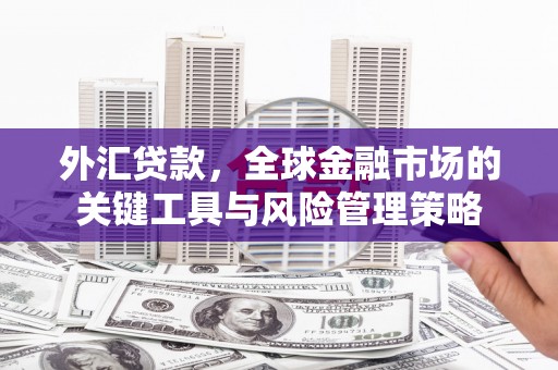 成安外汇贷款，全球金融市场的关键工具与风险管理策略
