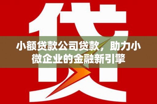 成安小额贷款公司贷款，助力小微企业的金融新引擎