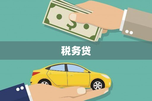 成安税务贷