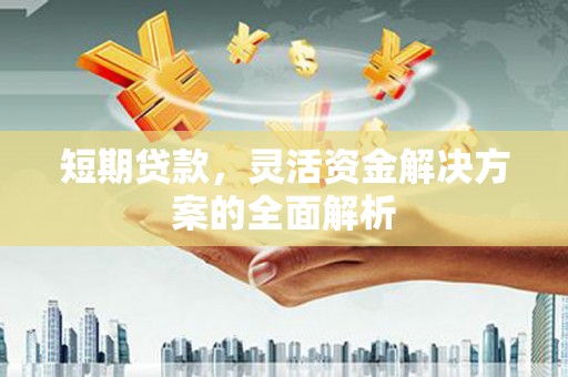 成安短期贷款，灵活资金解决方案的全面解析