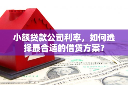 成安小额贷款公司利率，如何选择最合适的借贷方案？