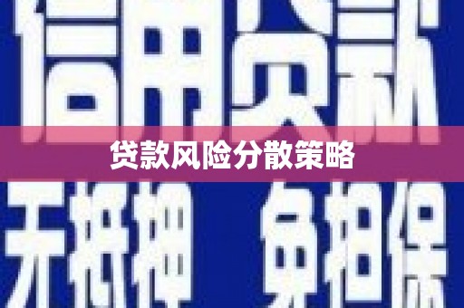成安贷款风险分散策略