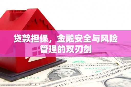 成安贷款担保，金融安全与风险管理的双刃剑