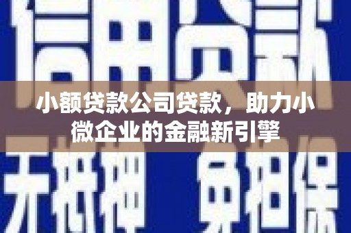成安小额贷款公司贷款，助力小微企业的金融新引擎