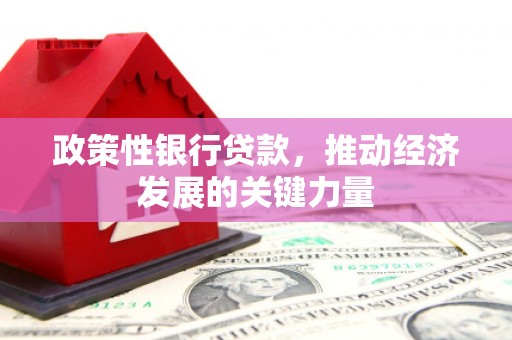 成安政策性银行贷款，推动经济发展的关键力量