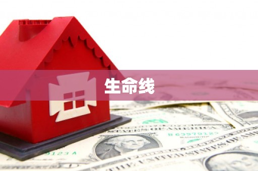 成安生命线