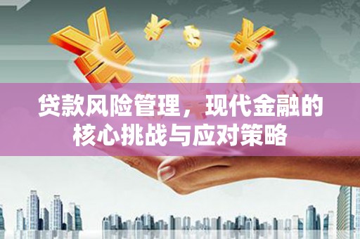 成安贷款风险管理，现代金融的核心挑战与应对策略