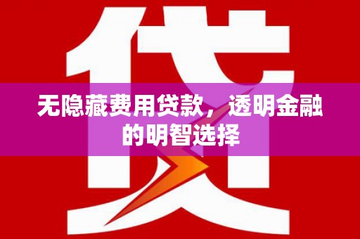 成安无隐藏费用贷款，透明金融的明智选择