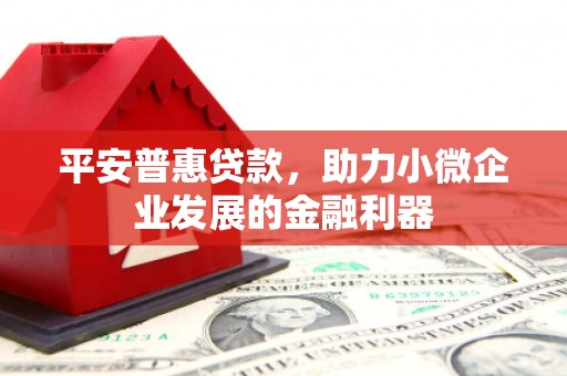 成安平安普惠贷款，助力小微企业发展的金融利器