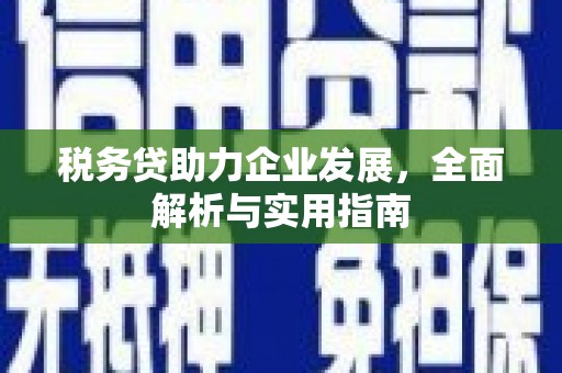 成安税务贷助力企业发展，全面解析与实用指南