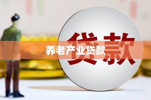 成安养老产业贷款