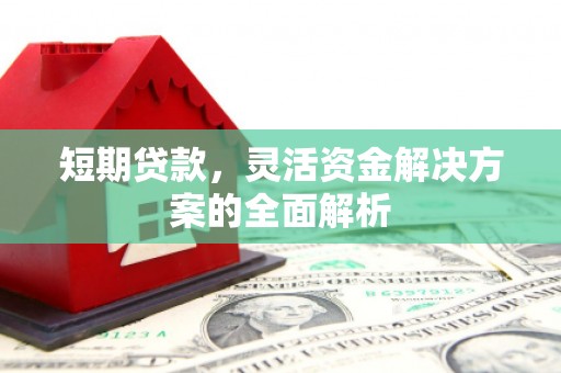 成安短期贷款，灵活资金解决方案的全面解析