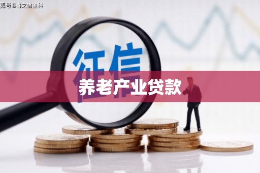 成安养老产业贷款