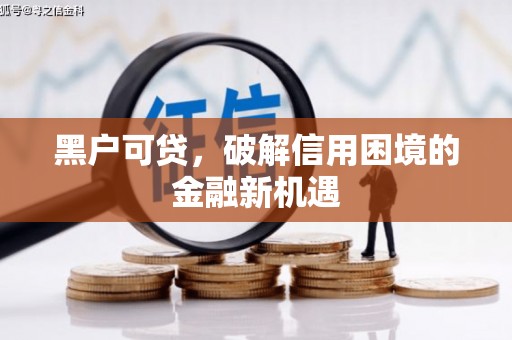 成安黑户可贷，破解信用困境的金融新机遇