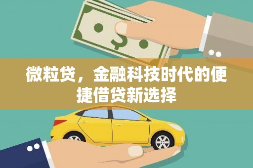 成安微粒贷，金融科技时代的便捷借贷新选择