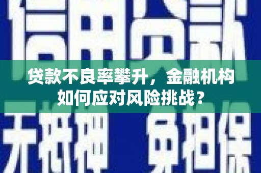 成安贷款不良率攀升，金融机构如何应对风险挑战？