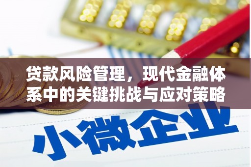 成安贷款风险管理，现代金融体系中的关键挑战与应对策略