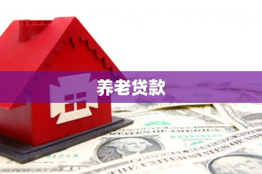 成安养老贷款