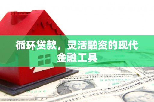 成安循环贷款，灵活融资的现代金融工具